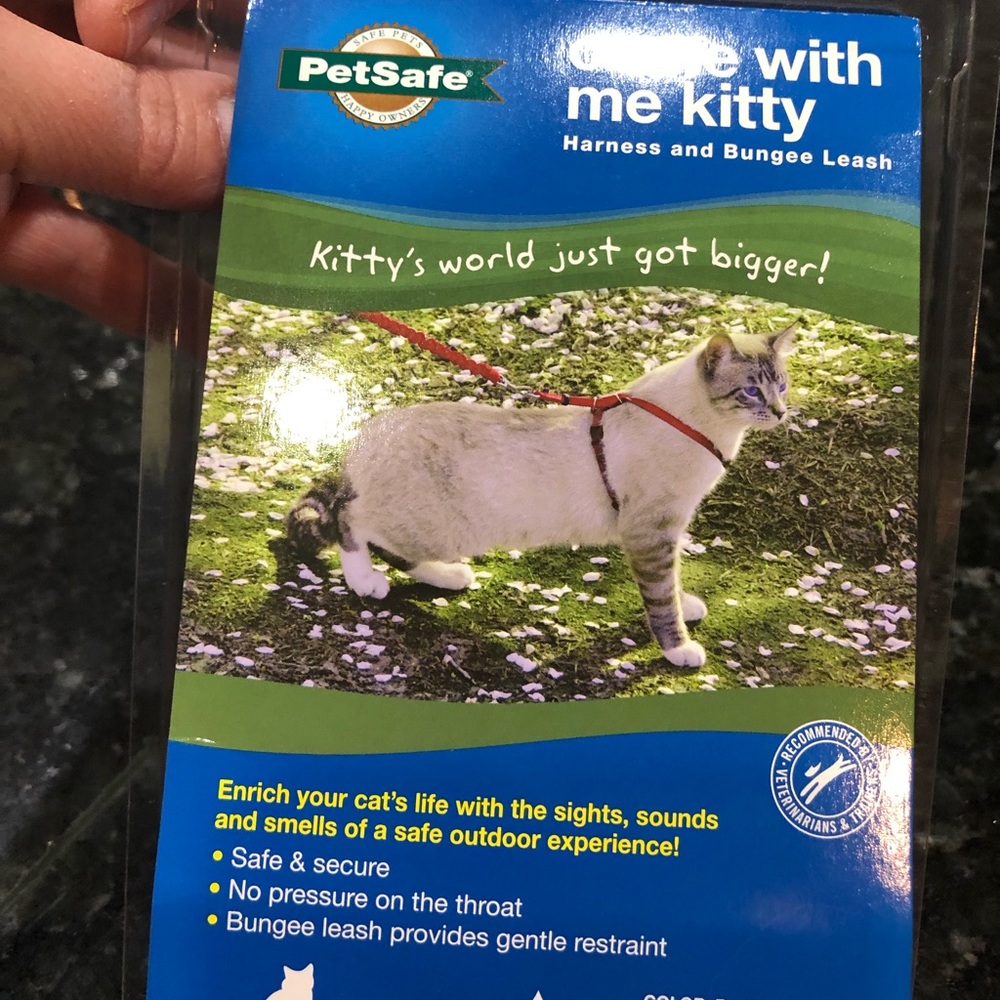 Cat leash and harness